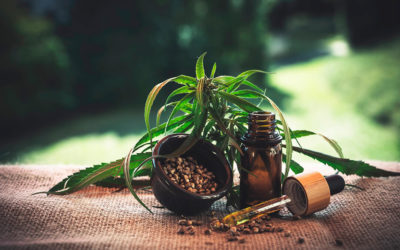 Nature’s Discount FAQs sobre el CBD Oil