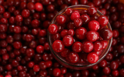 Say Goodbye to Urinary Tract Infections with Cranberries