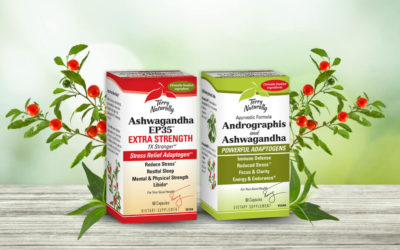 El poder de las hierbas adaptógenas: Ashwagandha y Andrographis